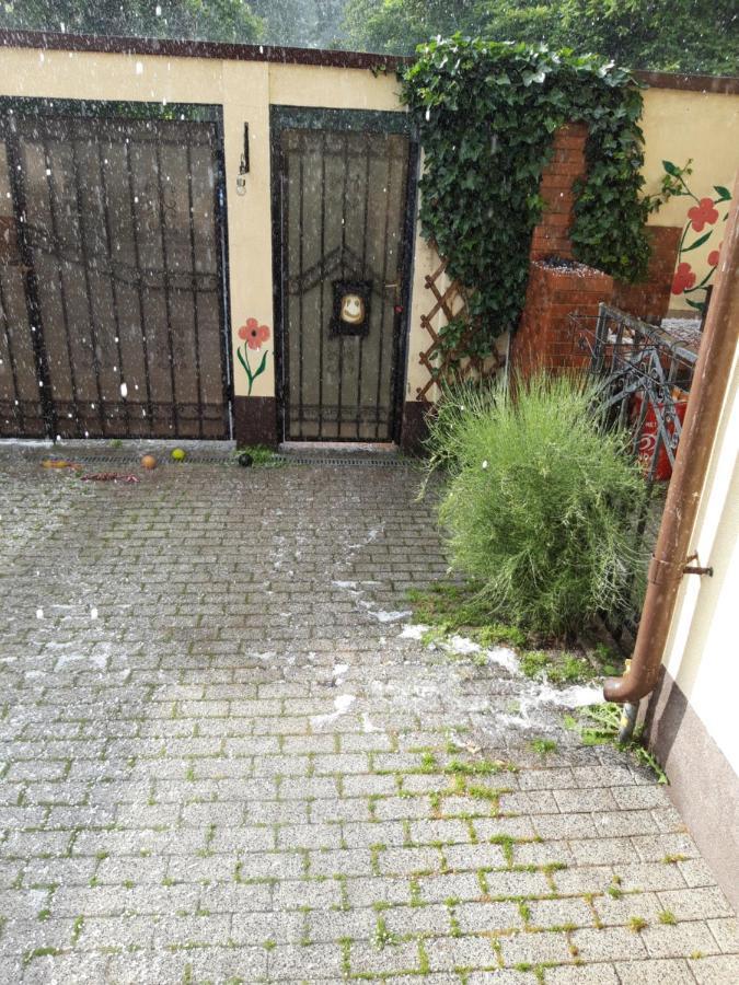 Papas Apartments Bucurestii Noi Eksteriør billede
